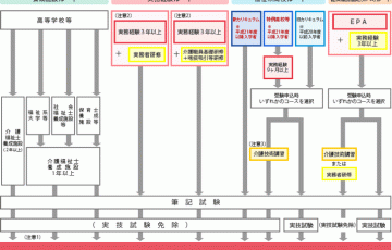 介護福祉士養成ルート